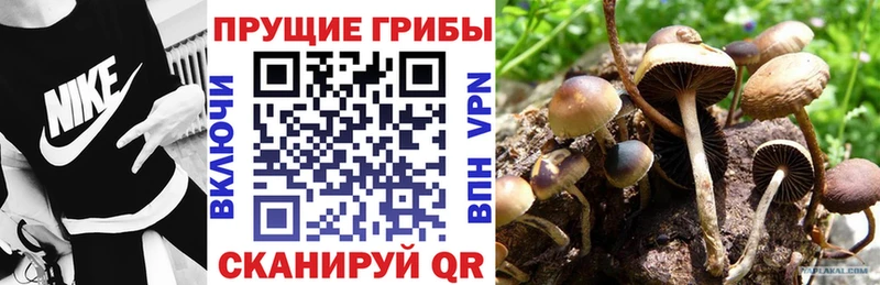 Псилоцибиновые грибы MAGIC MUSHROOMS  мега зеркало  Белогорск 