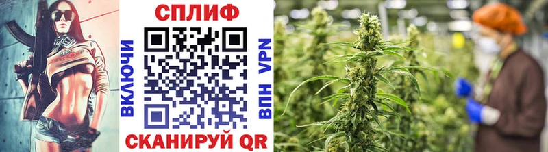 где можно купить   Белогорск  Шишки марихуана Bruce Banner 